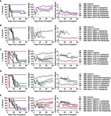 Post-Transplantation Cyclophosphamide Uniquely Restrains Alloreactive CD4+ T-Cell Proliferation and Differentiation After Murine MHC-Haploidentical Hematopoietic Cell Transplantation